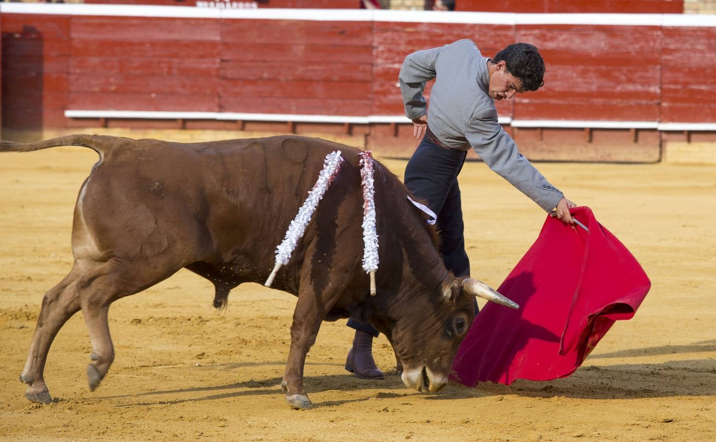 Clase práctica de toreo en la Plaza de La Merced de Huelva